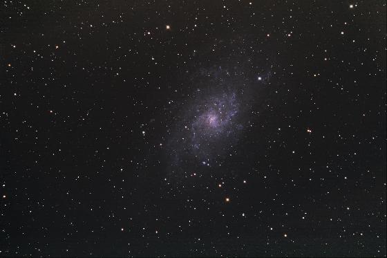 M33 