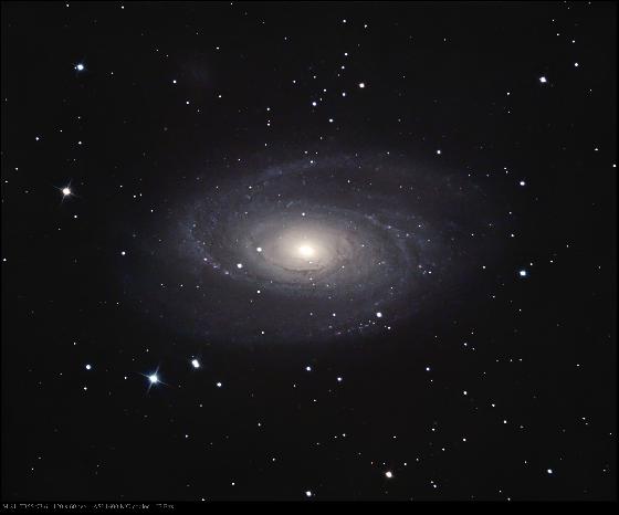 M 81