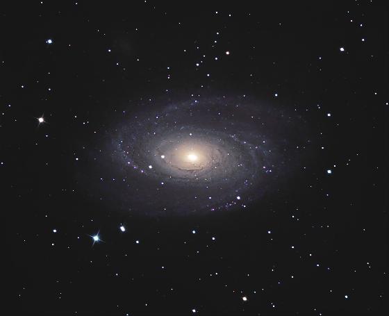 M81