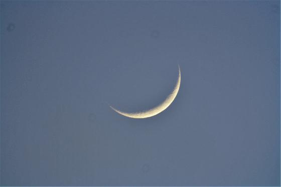 Croissant lunaire 02 déc 2016