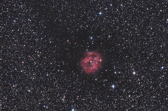 IC5146 cocoon