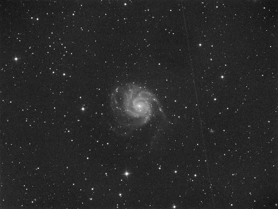 M101