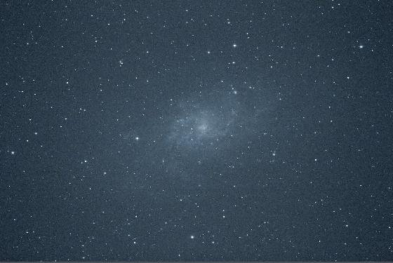 M33 brute