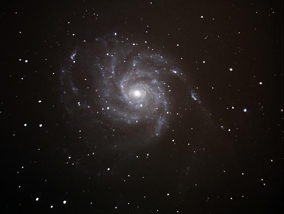 M101