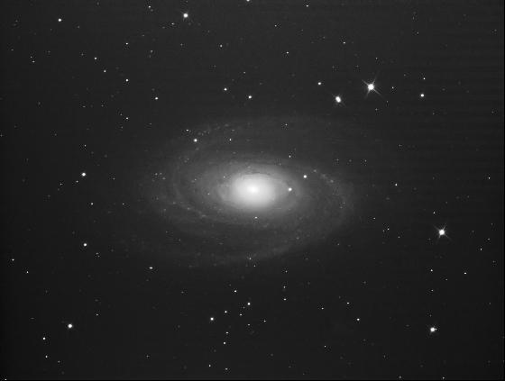 M81