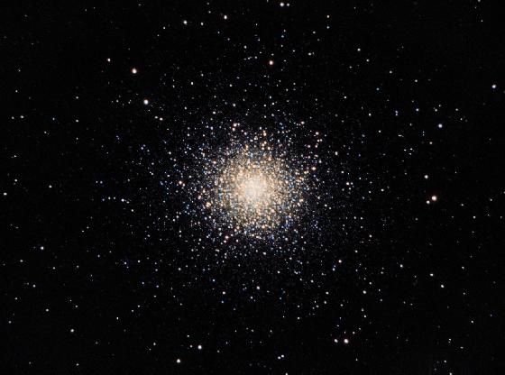 M13
