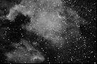 NEBULEUSES NORTH AMERICA NGC7000 PELICAN IC5070