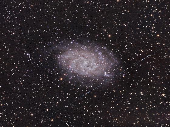 M33
