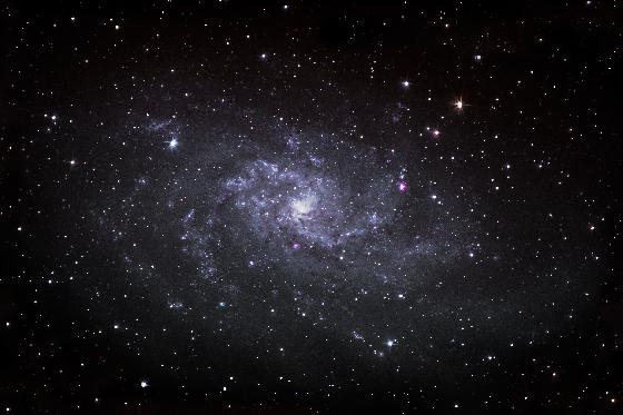M33