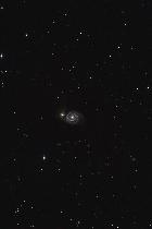 M51