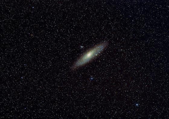 M31