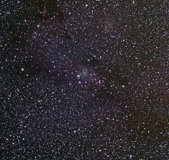 NGC2264