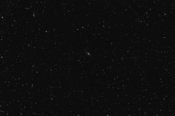 NGC7331 1ère image CP