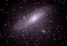 M31