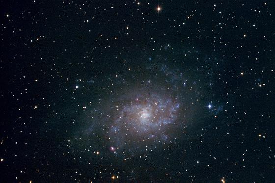 M33