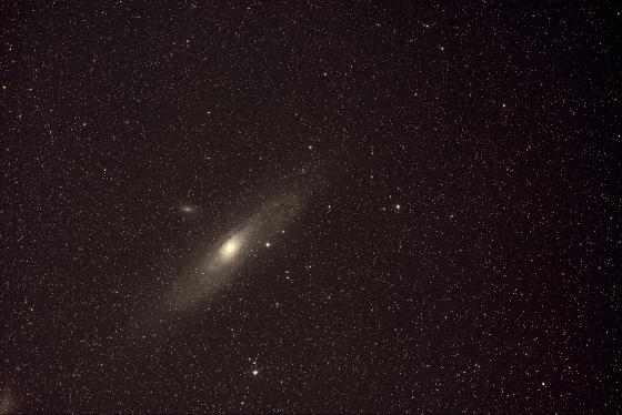 M31