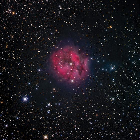 Cocoon Nebula