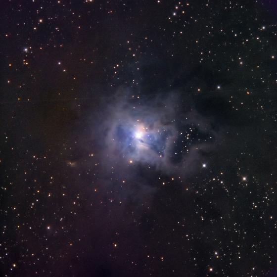 Iris Nebula
