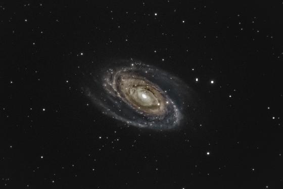 M81