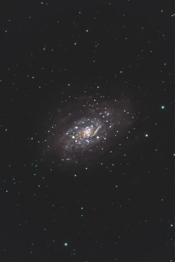 NGC2403