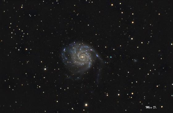M101