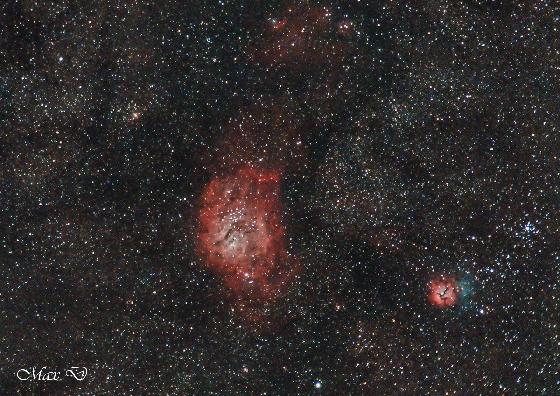 M8 et les Trifides
