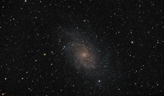 M33