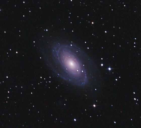 M81
