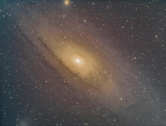 M31