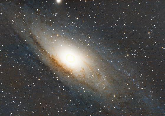 M31