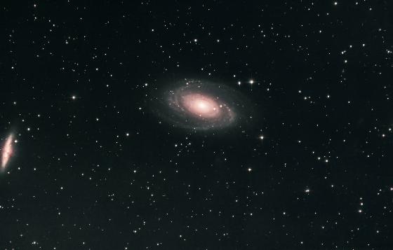 M81