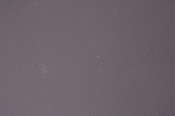 Brute pleiade californie