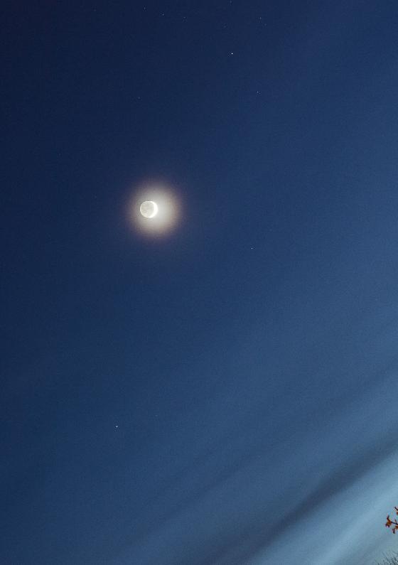 Lune cendrée au 50mm
