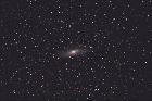 M31 grand champ