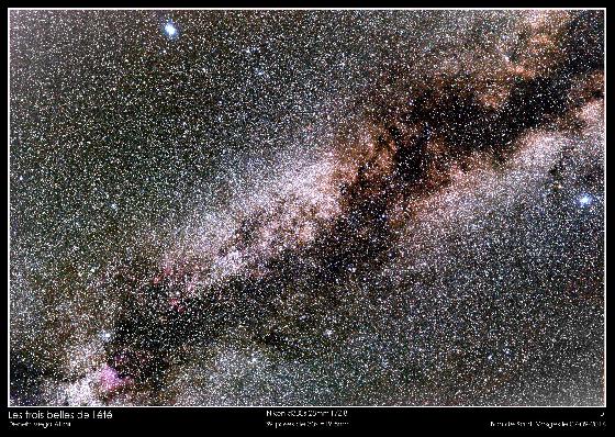 Les trois belles de l'été