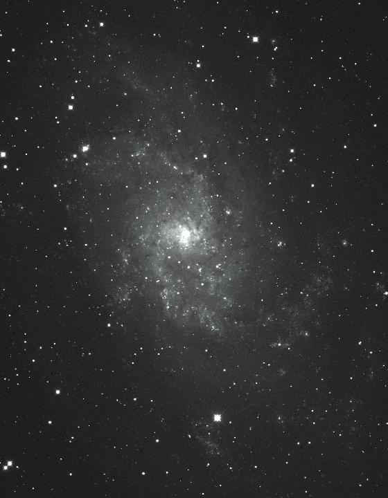 m33
