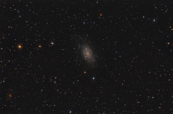 NGC 2403