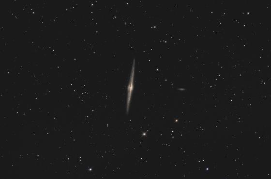 NGC4565