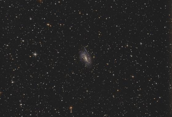 NGC 925