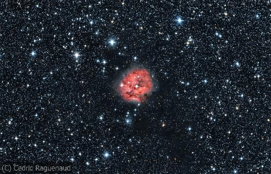 Cocoon nebula