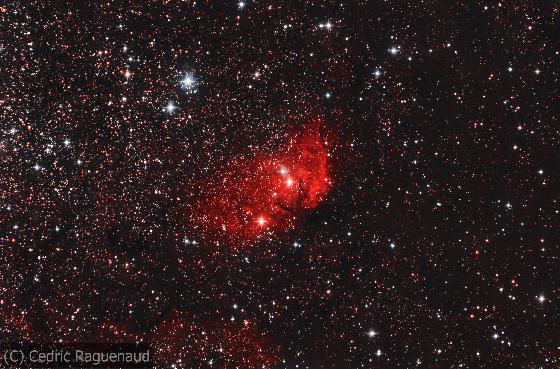 Nébuleuse de la tulipe #1