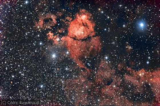 IC 1795, Fish head nebula