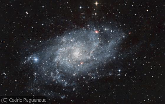 M33