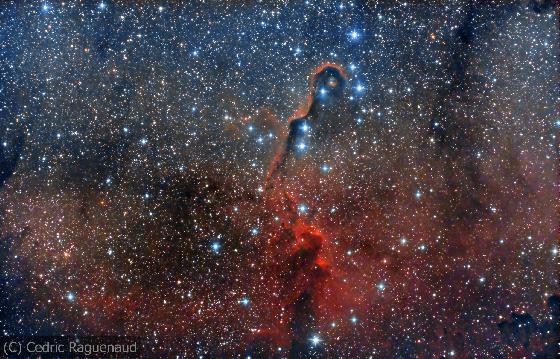 Elephant trunk nebula