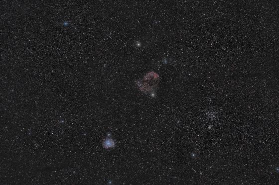 La meduse et le singe