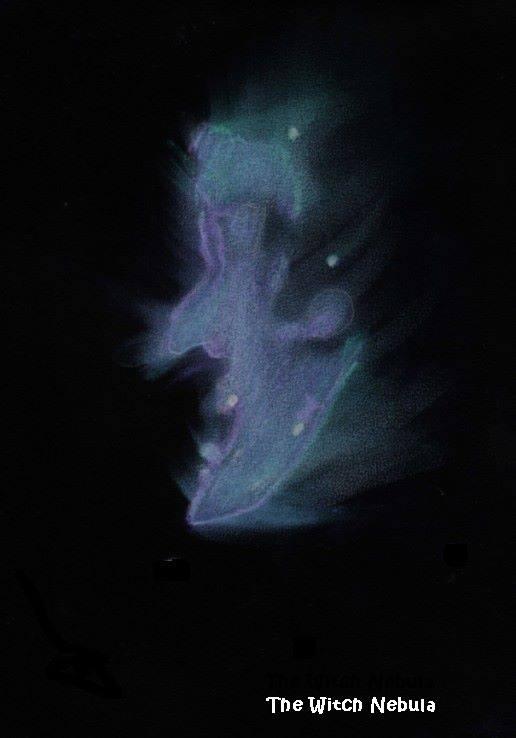Nébuleuse de la Tête de la Sorcière 