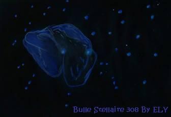 Bulle Stellaire Sharpless 308