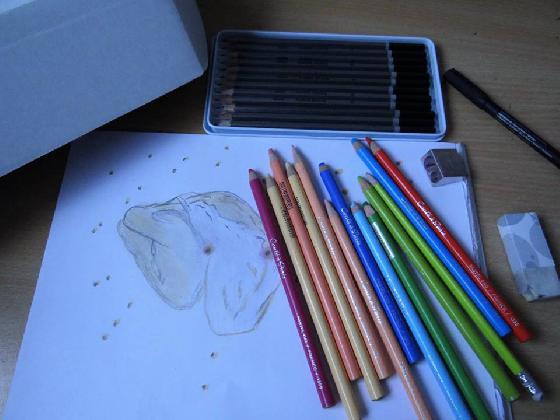 Crayons patels craies