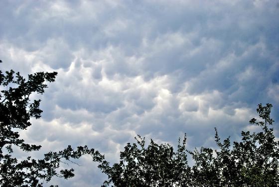 nuages Mamatus1
