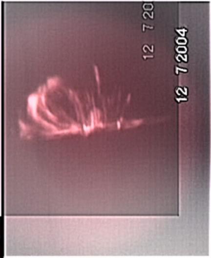 loops en h alpha au spectroscope